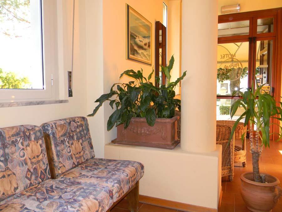 Hotel Parma Mare Marina di Massa Zewnętrze zdjęcie